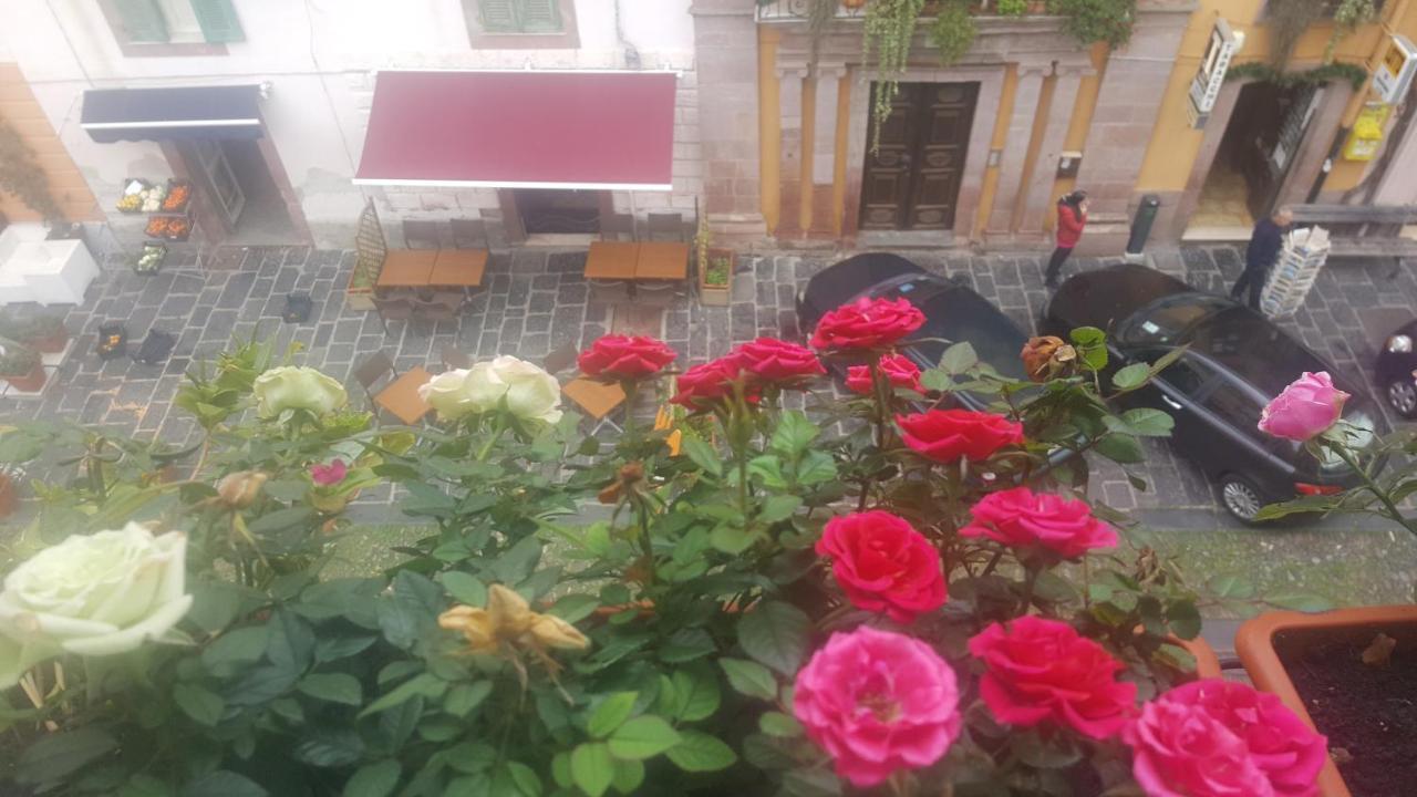Villa Julia 보사 외부 사진
